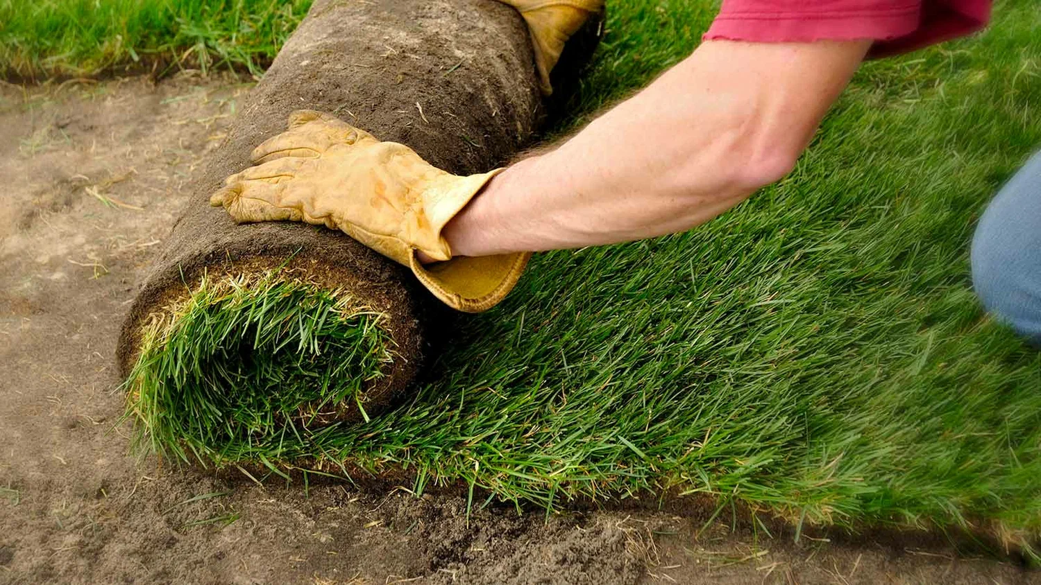 a person rolling a roll of grass