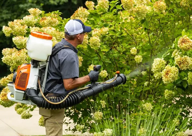 a man spraying a bush